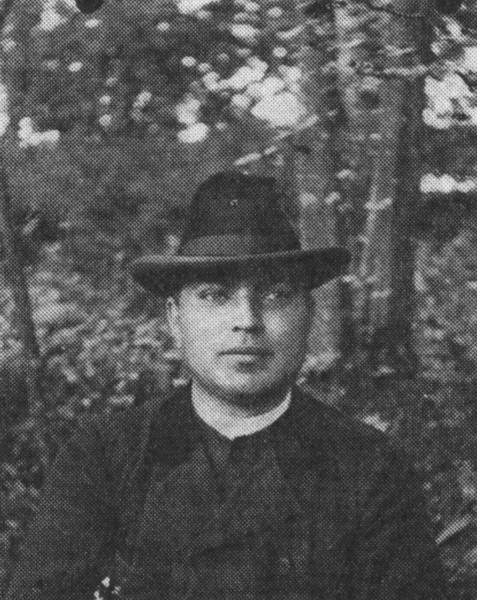 Jožef Klekl ml., urednik Novin, 1917 - 1919