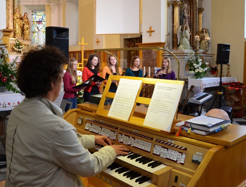 Organista izobrazimo, da je sposoben igranja orgel in samostojnega vodenja ter dirigiranja pevskemu zboru