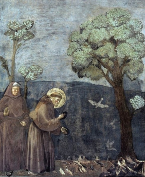 Giotto - sv. Frančišek pridiga pticam