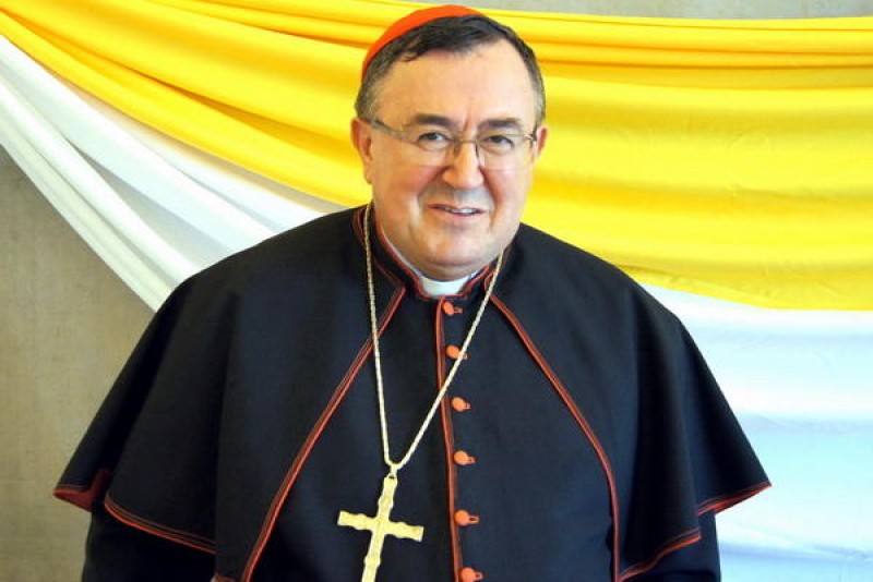 Vrhbosanski nadškof metropolit nj. em. kardinal Vinko Puljić - Foto: splet
