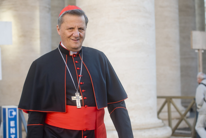 Kardinal Mario Grech, generalni tajnik generalnega tajništva sinode - Foto: splet